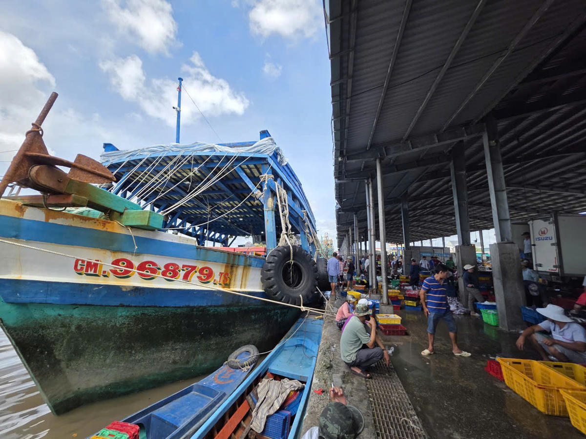 Tàu cá tập kết ở cảng cá Sông Đốc sau chuyến đi biển dài ngày. Ảnh: Nguyên Du