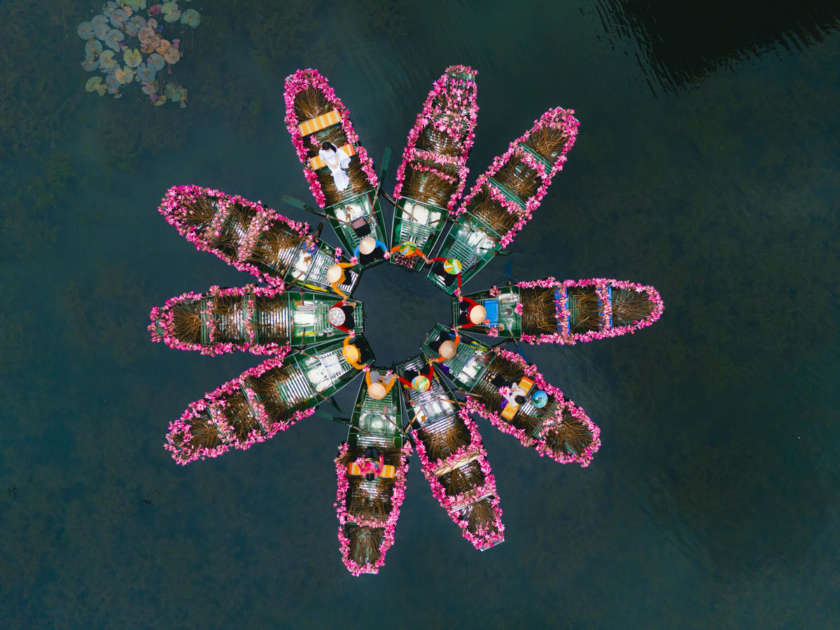 Hoa súng thường nở rộ từ cuối tháng 10 đến đầu tháng 12 hằng năm. Khi sương mai còn đọng trên lá, mặt nước phẳng lặng như gương, từng bông súng bung nở giữa trời, tạo nên khung cảnh nên thơ hiếm có. Ảnh: Ngọc Linh