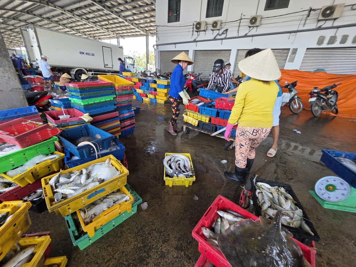 Lao động phổ thông làm việc tại Cảng cá Sông Đốc, thu nhập từ 300.000 - 400.000 đồng/ngày. Ảnh: Nguyên Du