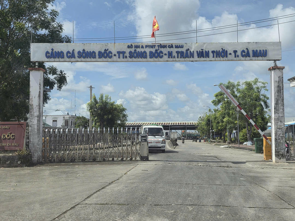 Xây dựng Sông Đốc thành cảng cá kiểu mẫu là định hướng chiến lược, nhằm đưa Sông Đốc trở thành trung tâm logistics thủy sản hiện đại, có trách nhiệm trong tương lai. Ảnh: Nguyên Du