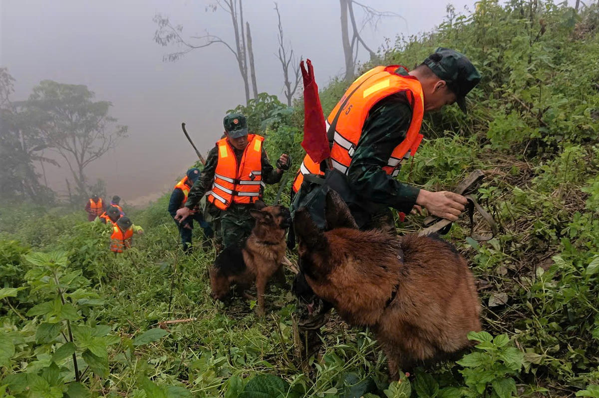 Cán bộ, chiến sĩ Quân khu 5 đưa chó nghiệp vụ tiếp cận hiện trường vụ sạt lở. Ảnh: CV.