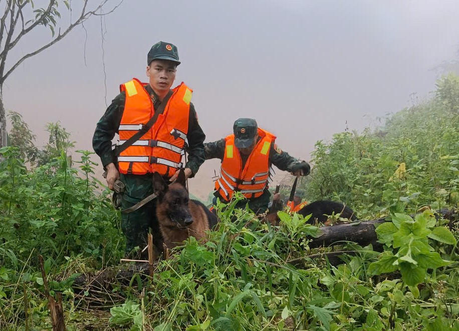 Các chiến sĩ đang cùng chó nghiệp tìm kiếm nạn nhân mất tích. Ảnh: CV.