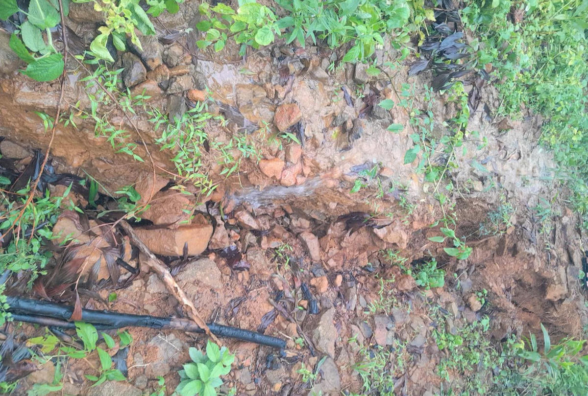 Khu vực núi khu vực núi Ngang xuất hiện vết nứt. Ảnh: CV.