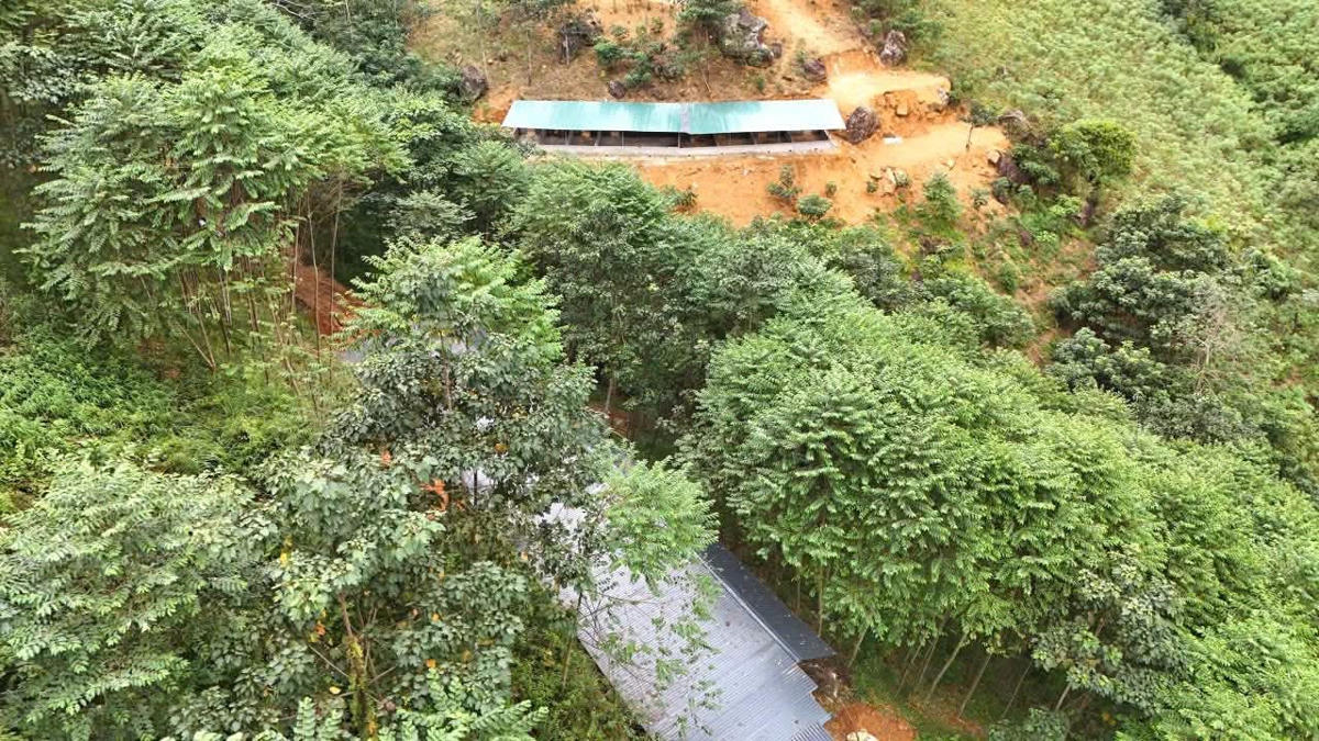 Các lán trại dựng trái phép tại mỏ Apatit Tam Đỉnh. Ảnh: Công an xã Văn Bàn.