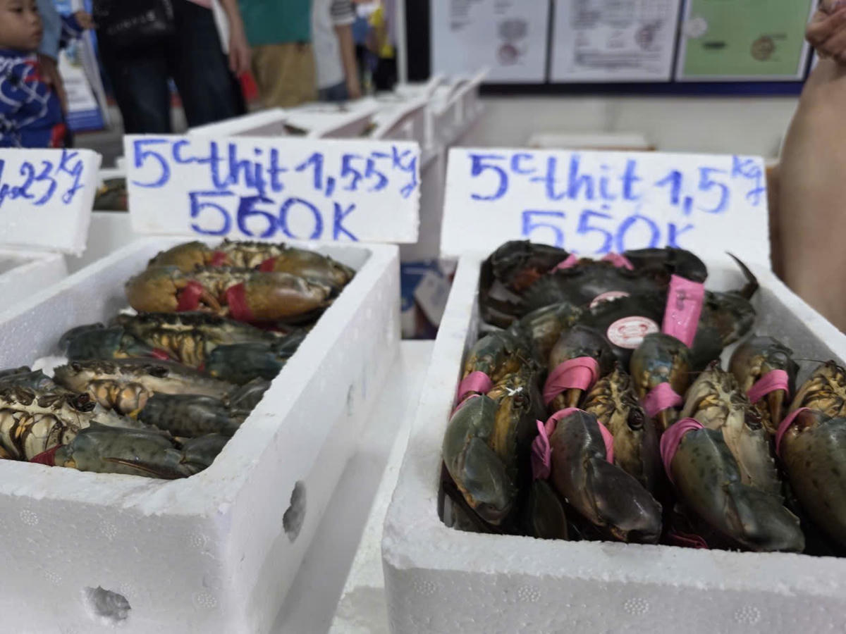 Cua Cà Mau là sản phẩm được đánh giá có giá trị dinh dưỡng cao, thịt chắc, ngon và được thị tường tỏng và ngoài nước ưa chuộng. Ảnh: Nguyên Du.