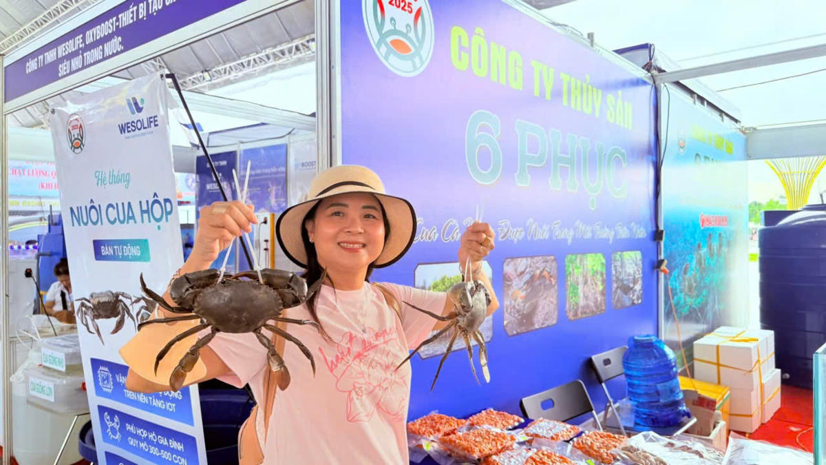 Ngày hội cua Cà Mau lần thứ II năm 2025 được khai mạc từ ngày 16/11 cho đến hết ngày 22/11. Sự kiện thu hút hàng nghìn lượt người trong và ngoài tỉnh đến tham quan, trải nghiệm, mua sắm và thưởng thức ẩm thực, nhất là các món ngon được chế biến từ cua. Ảnh: Nguyên Du.