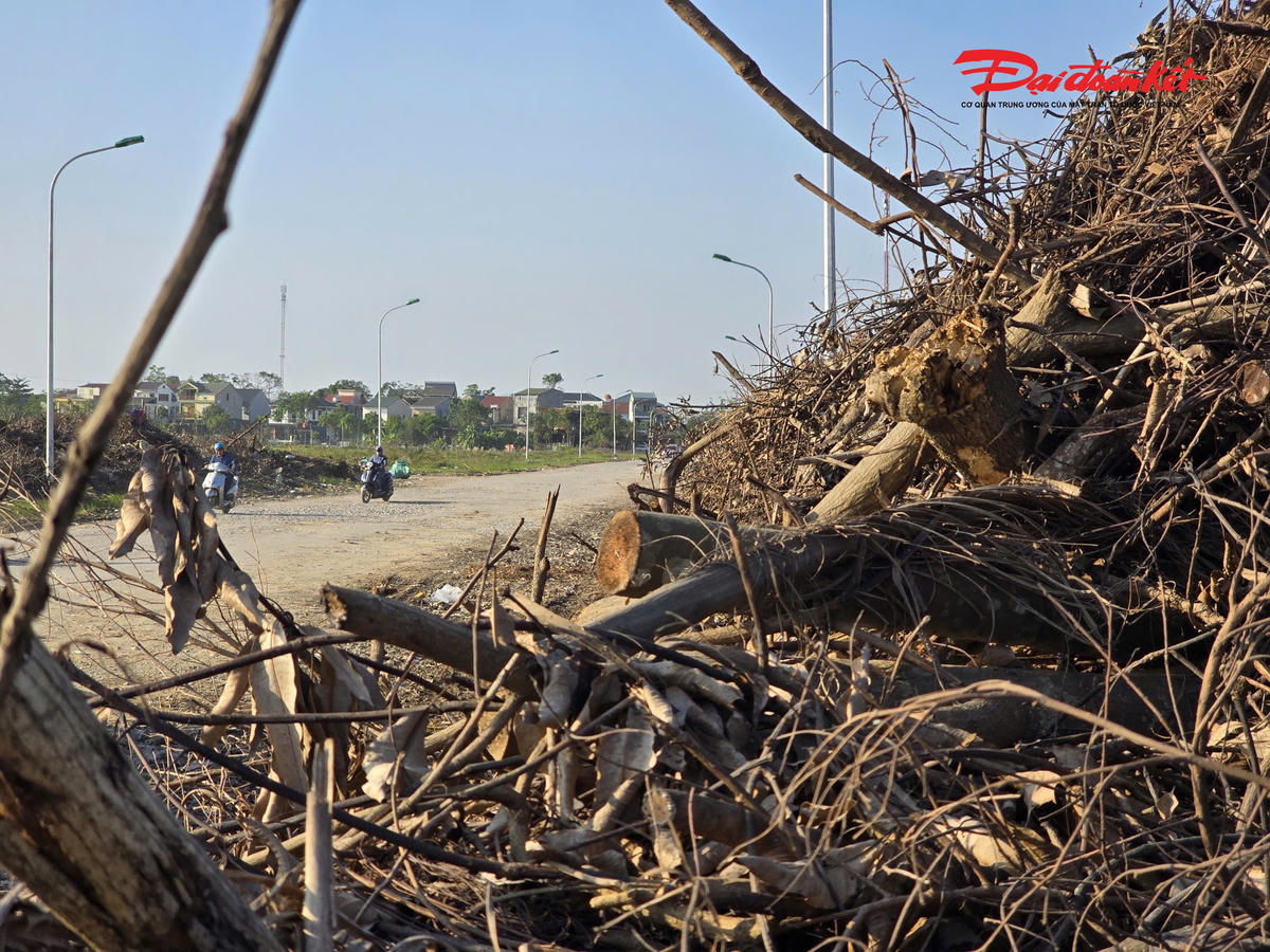Theo ghi nhận của PV Báo Đại đoàn kết, hai bên tuyến đường D3 la liệt các túi rác sinh hoạt, vật dụng gia đình, cành, lá cây xanh đổ gãy từ sau bão, kéo dài gần hết tuyến. Ảnh: ĐB