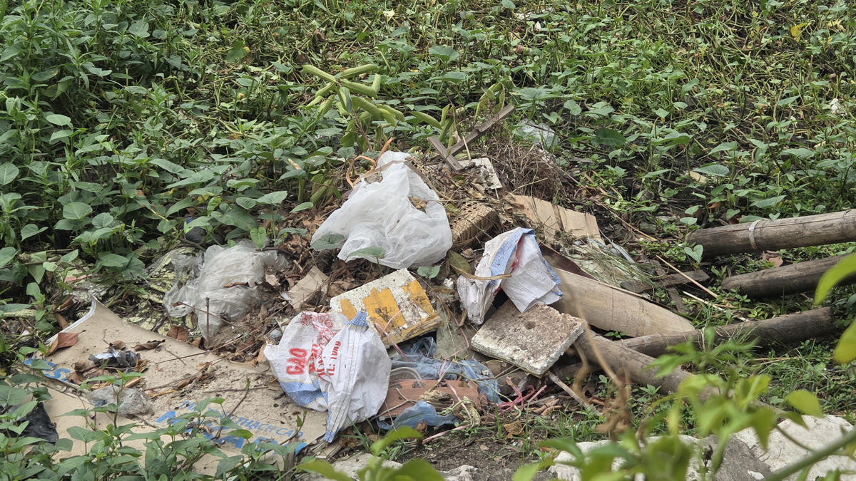 Mặt hồ không được nạo vét, bùn đất ứ đọng; bèo, cây cỏ mọc ken đặc xen lẫn rác thải. Ảnh: Nam Dương.