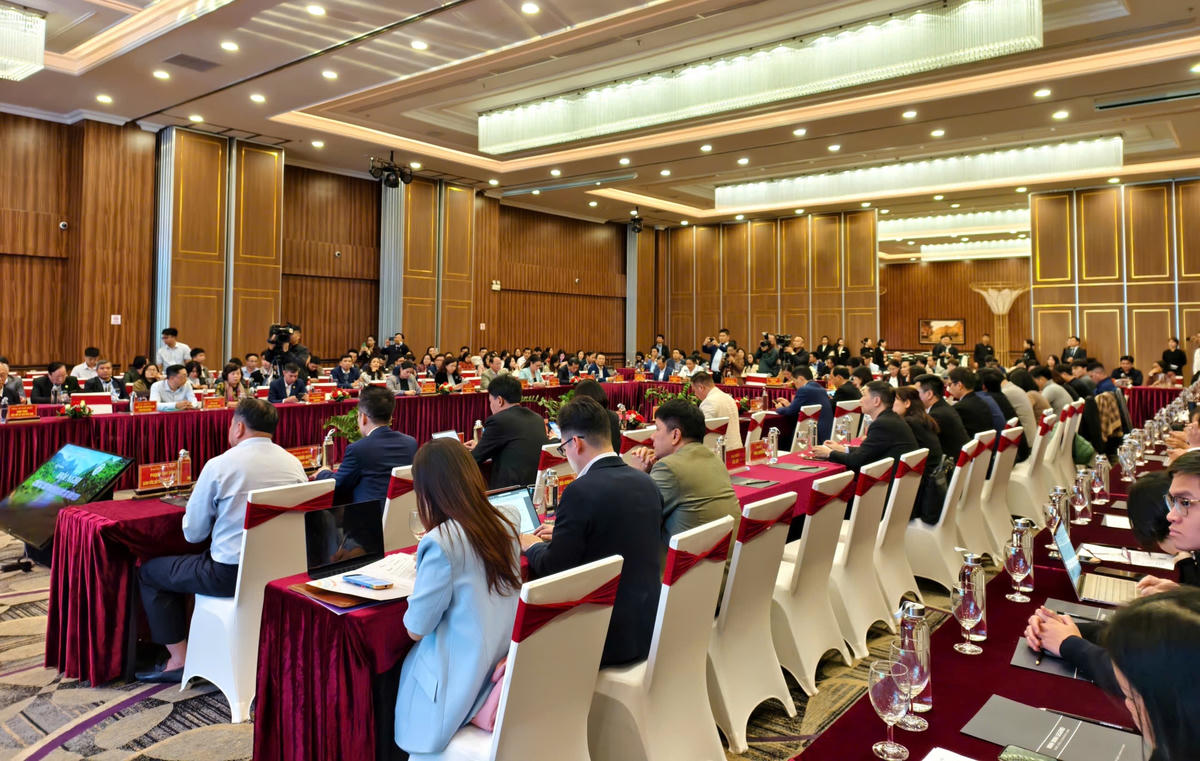 Toàn cảnh hội nghị. Ảnh: Đình Minh 