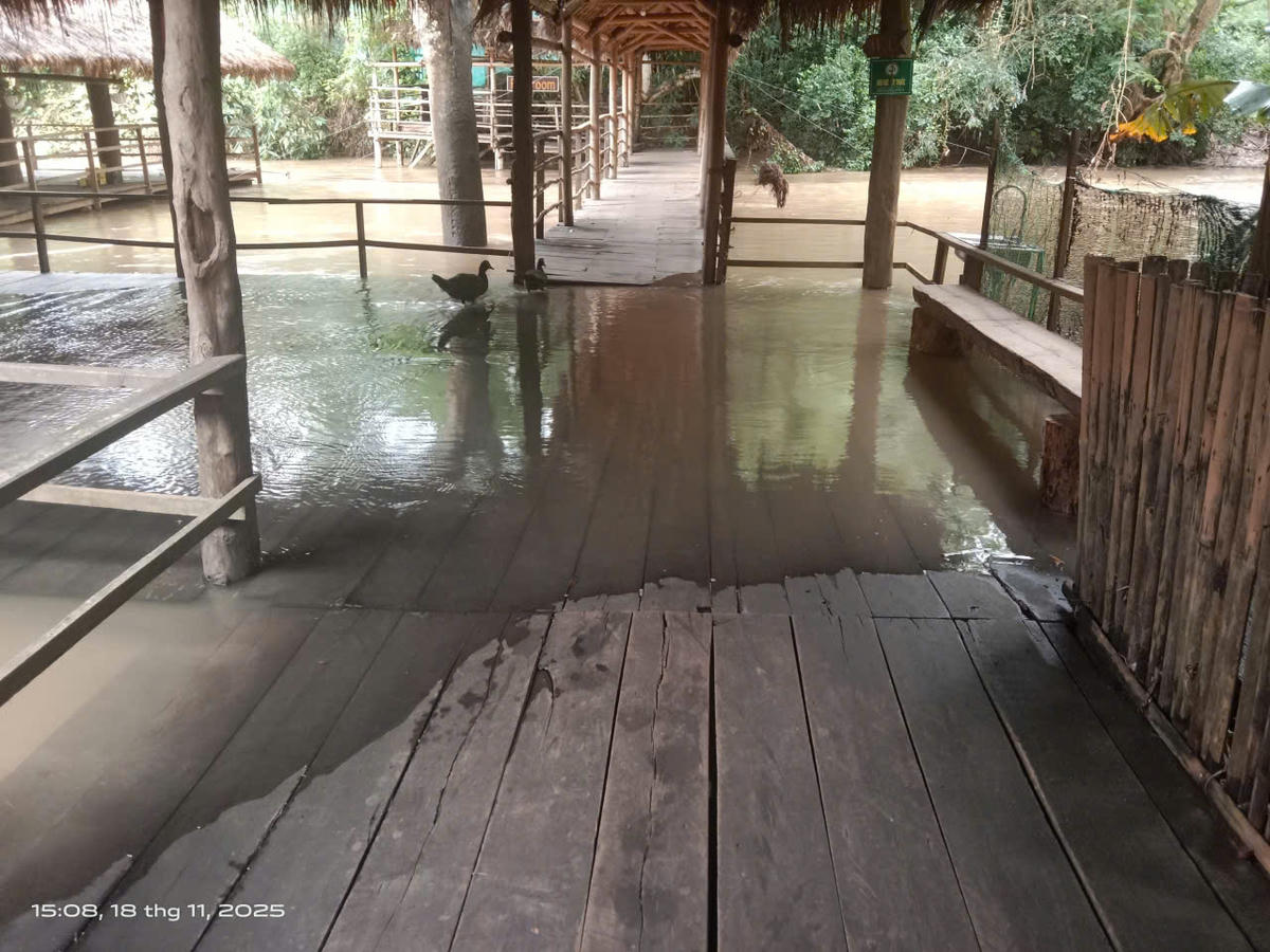 Cầu treo Buôn Đôn nước ngập tràn. Ảnh:CTV.