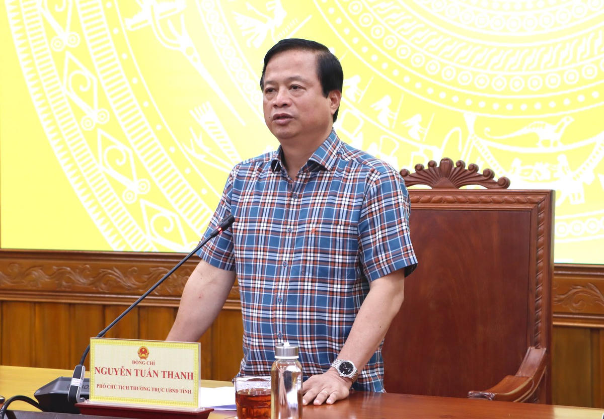 Phó Chủ tịch Thường trực UBND tỉnh Gia Lai Nguyễn Tuấn Thanh phát biểu tại buổi họp báo. Ảnh: CV.