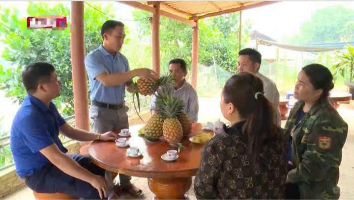 Thào A Giàng chia sẻ về những giá trị, chất lượng từ cây dứa mang lại. Ảnh: NVCC