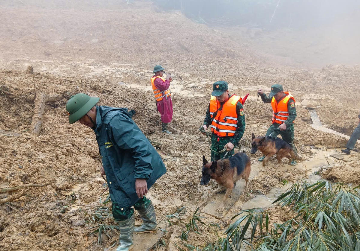 Lực lượng chức năng đang tìm kiếm 2 nạn nhân mất tích trong vụ sạt lở núi ở xã Hùng Sơn. Ảnh: CV.