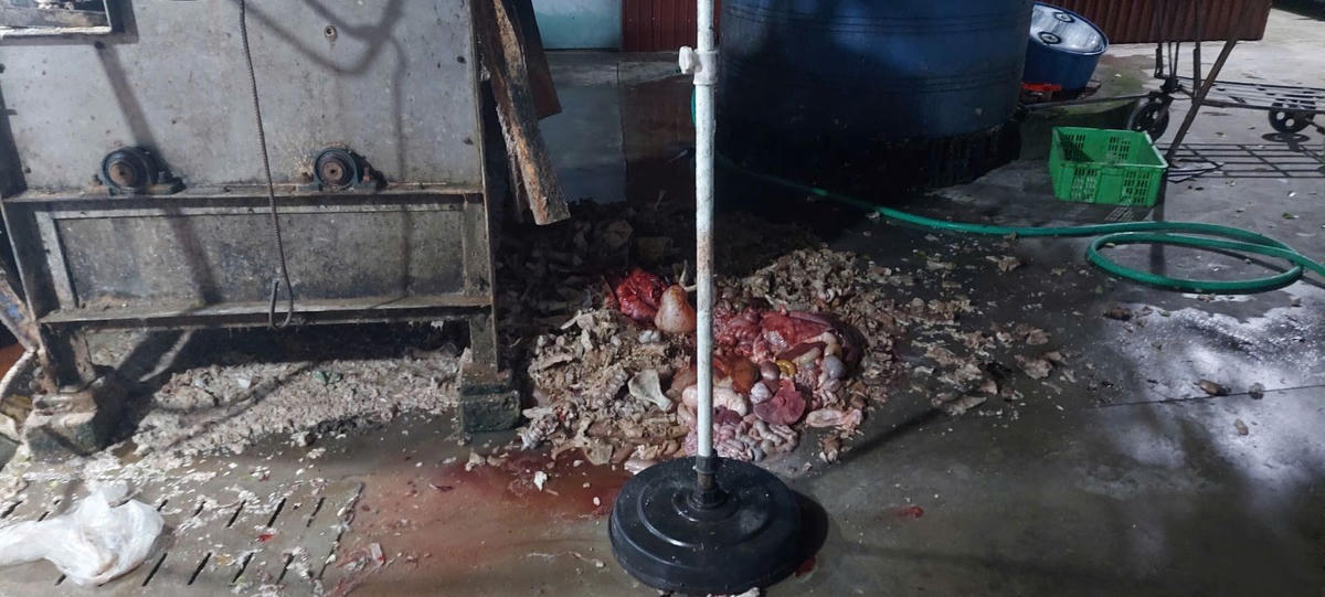 Hiện trường cơ sở chăn nuôi tại thời điểm kiểm tra. Ảnh: Công an tỉnh Hưng Yên.