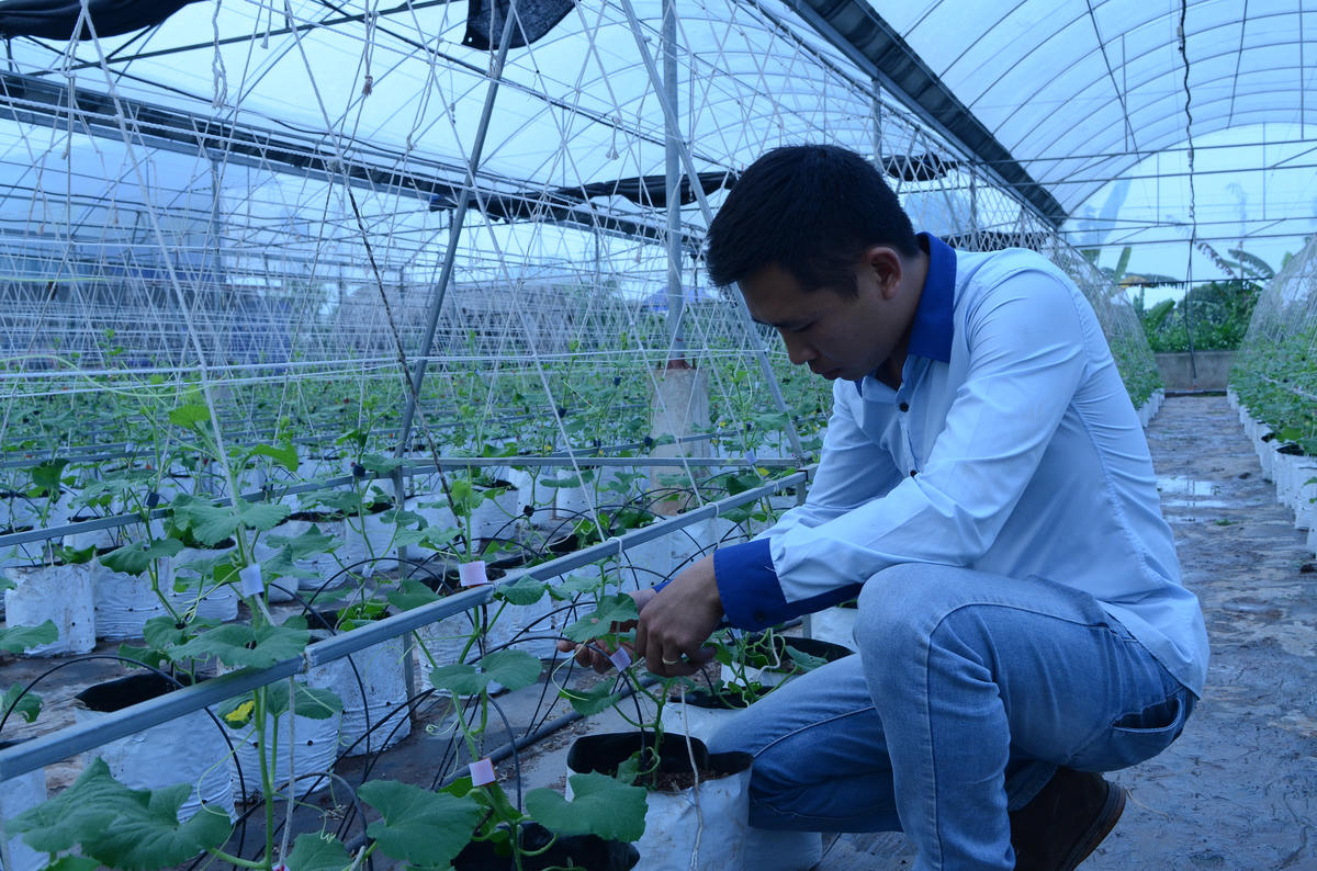 Giữ chân người trẻ ở lại ruộng đồng - Bài 2: Gập ghềnh “đường” làm giàu từ nông nghiệp