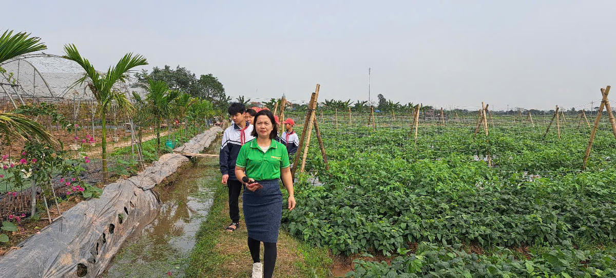 Nông trại của vợ chồng anh Hoàng Quốc Toản. Ảnh: Duy Hưng