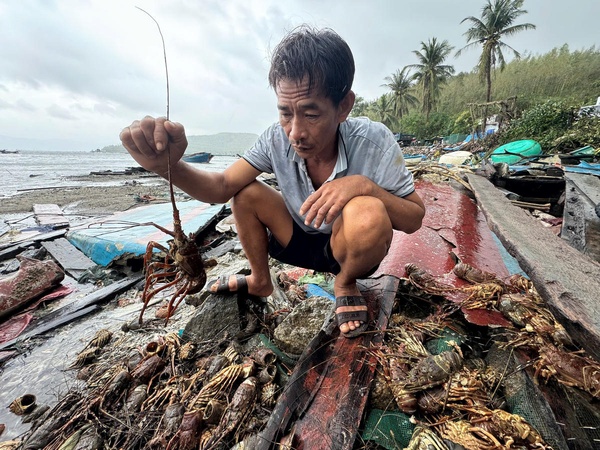 Ông Ánh thất thần khi hang ngàn con tôm hùm chết trắng sau lũ. (Ảnh: Đình Sang)