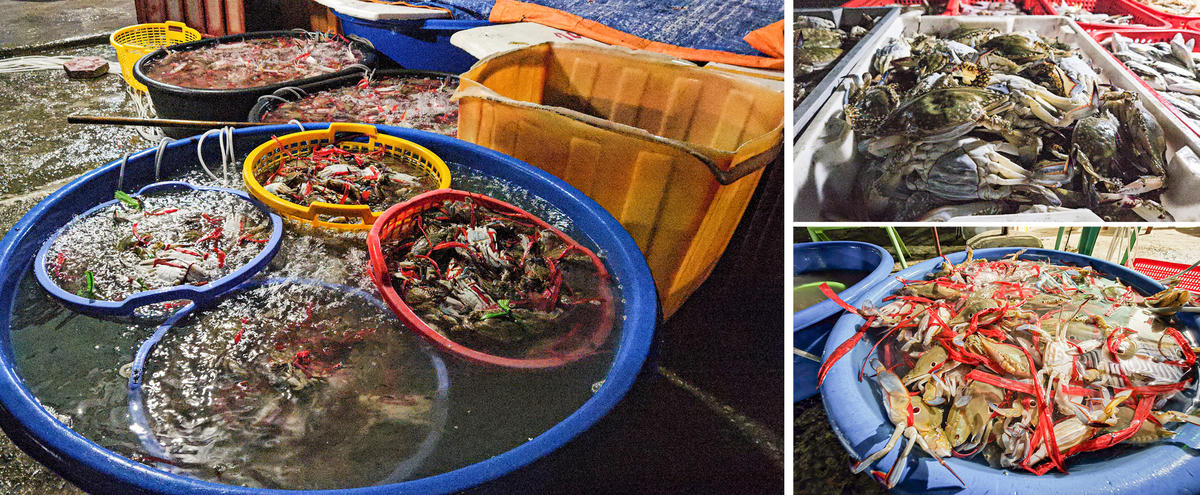 Hải sản tươi rói được ngư dân vận chuyển lên bờ. Những rổ nhựa đựng đầy ắp hải sản tươi rói, tạo nên một cảnh tượng đầy màu sắc và sức sống. Ảnh: Cẩm Kỳ&nbsp;