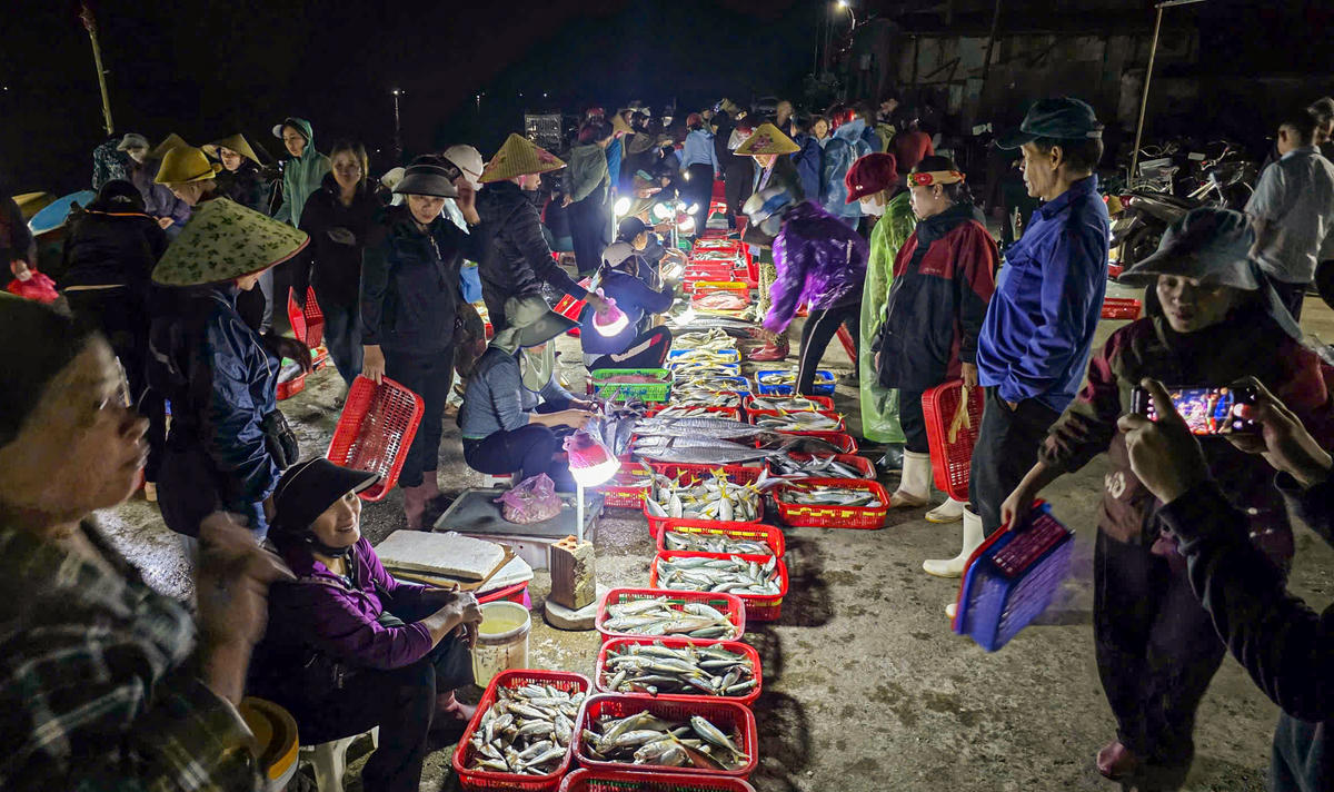 Khoảng 5 giờ sáng, cảng cá bước vào thời điểm nhộn nhịp nhất trong ngày. Ảnh: Cẩm Kỳ&nbsp;