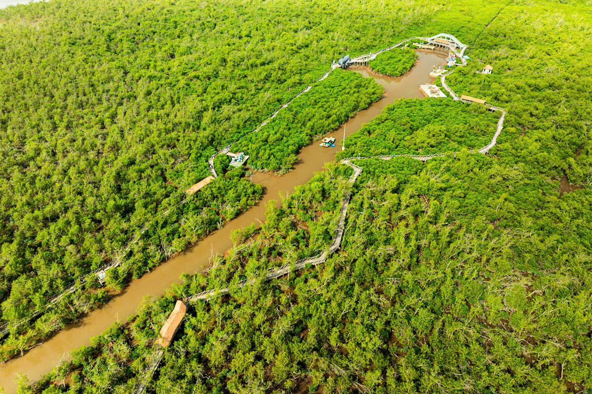 Trải nghiệm rừng ngập mặn Bàng La, một sản phẩm du lịch được Khu Du lịch Quốc tế Đồi Rồng phối hợp cùng phường Đồ Sơn triển khai. Ảnh: ĐT.&nbsp;