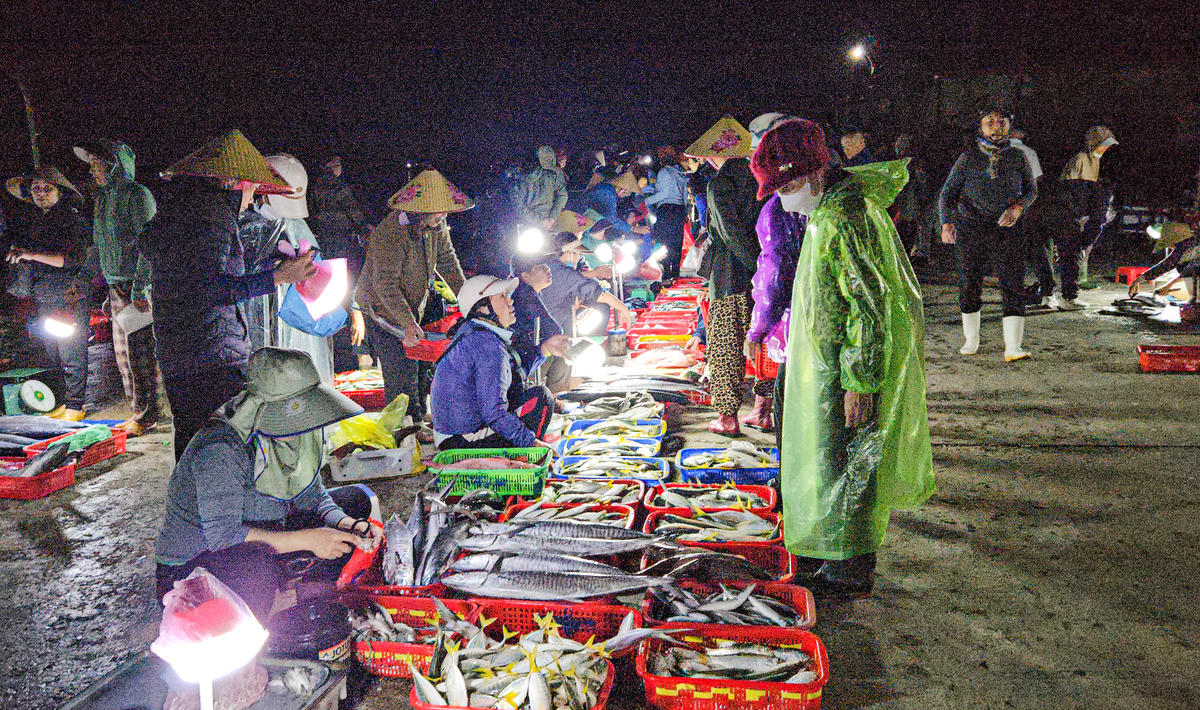 "Thời điểm sáng sớm cá rất tươi và chất lượng, dân buôn chúng tôi phải đến thật sớm, thậm chí là từ 3h sáng, để chọn được hàng đẹp và kịp thời vận chuyển đi các chợ đầu mối", chị Nguyễn Thị Nguyệt chia sẻ. Ảnh: Cẩm Kỳ&nbsp;