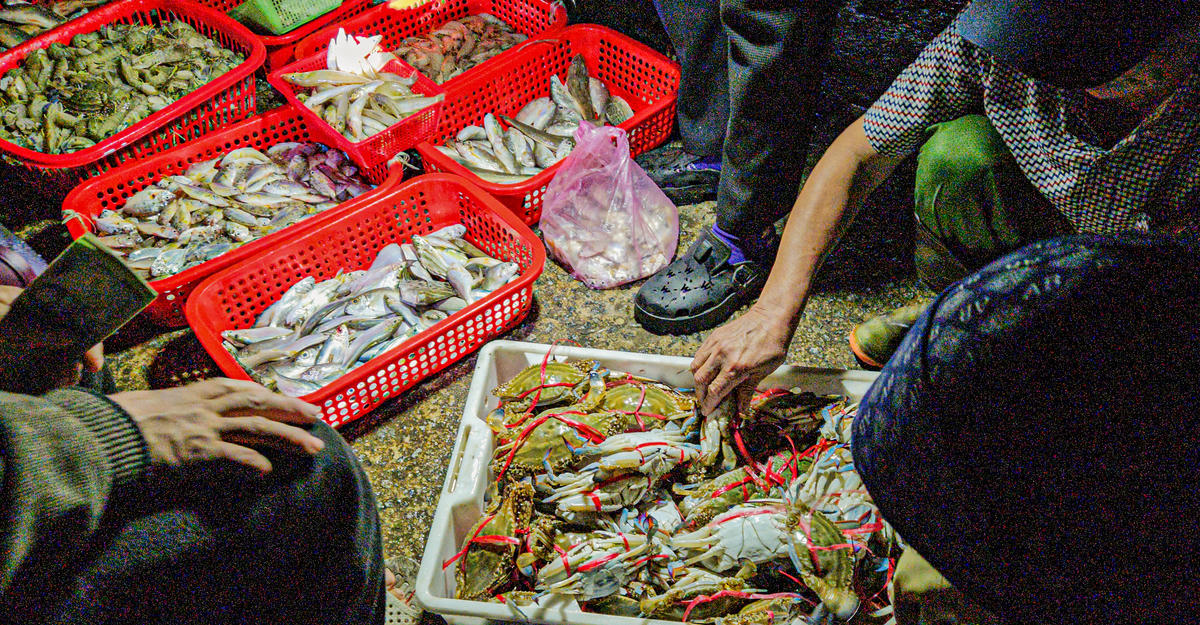 Những rổ ghẹ, tôm tít còn nhảy tanh tách, những sọt cá thu óng ánh lấp lánh dưới ánh đèn, những khay cá bạc má, cá cơm đầy ắp… tạo nên một bức tranh sống động và đầy sắc màu. Ảnh: Cẩm Kỳ&nbsp;