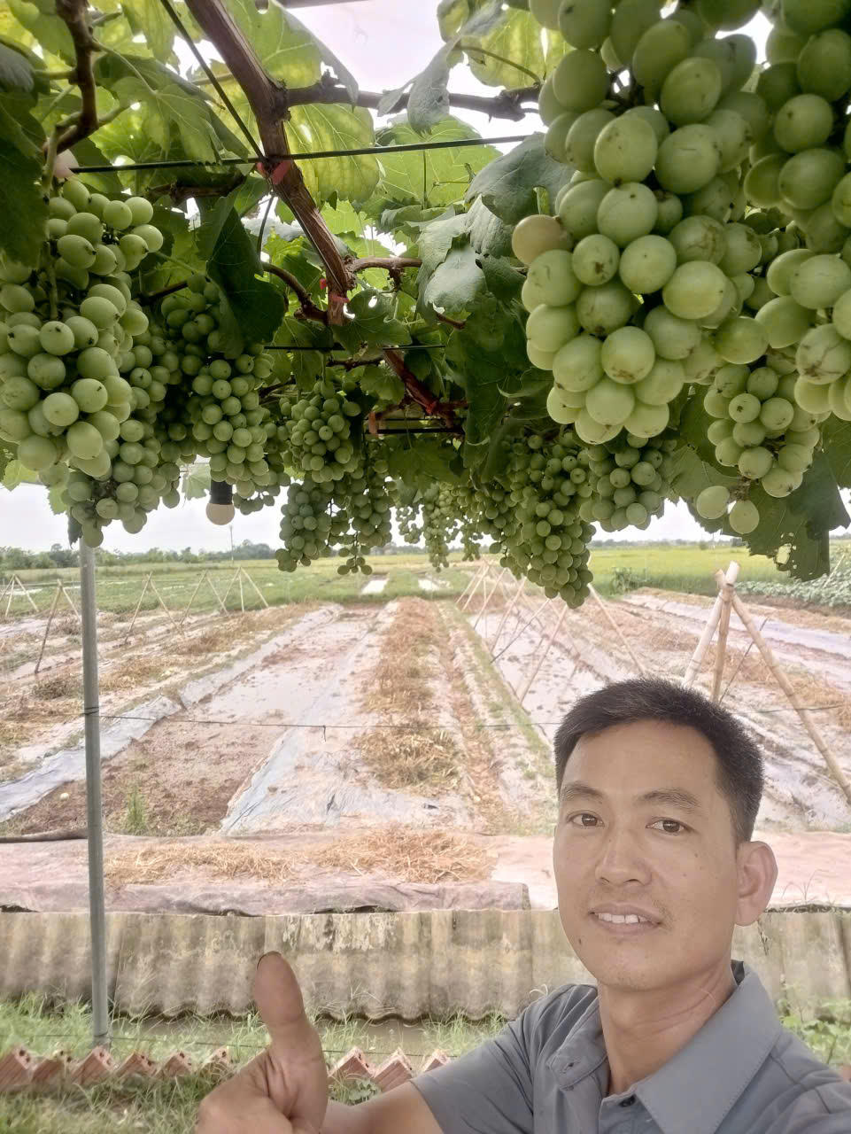 Hưng Yên đề ra nhiều giải pháp nhằm hình thành thế hệ nông dân mới có trình độ, tri thức.