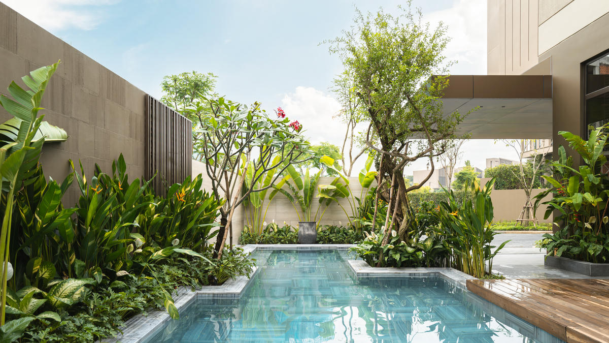 Không gian xanh và khoảng thở tự nhiên được tối đa hóa (Ảnh chụp thực tế).