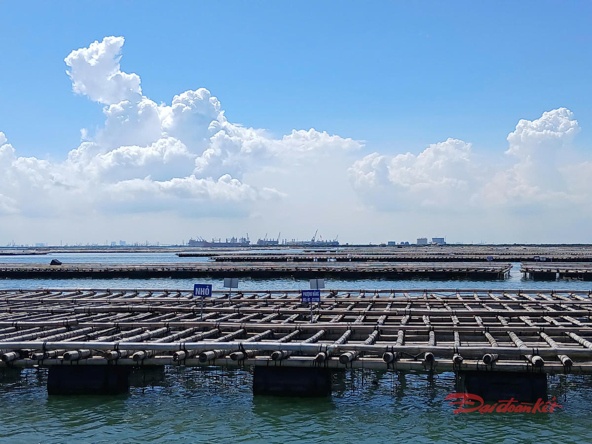 Tình trạng lấn chiếm mặt nước NTTS diễn ra tràn lan trên vùng biển xã Hà An. Ảnh: Nguyễn Quý.