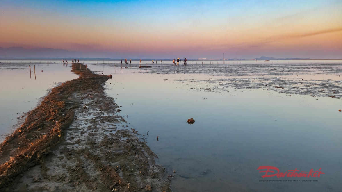 Một dãy lưới săm - hình thức khai thác tận diệt - bị phá huỷ. Ảnh: Đinh Hùng.