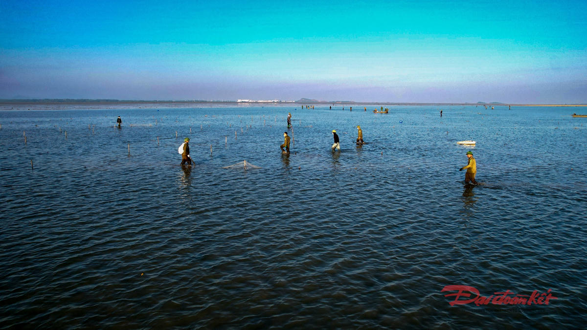 Vùng biển xã Quảng Hà được trả lại sự thoáng đãng sau khi các cọc lưới săm bãi bị phá dỡ. Ảnh: Đinh Hùng.