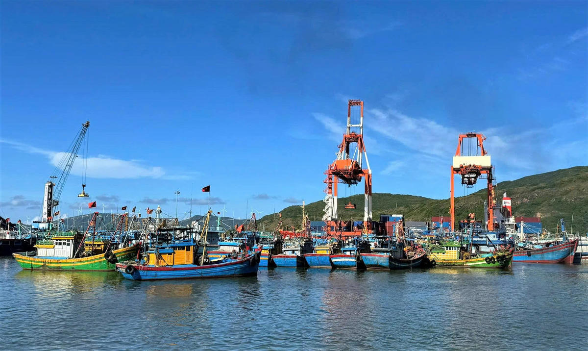 Tàu cá neo đậu tại cảng cá Quy Nhơn, tỉnh Gia Lai để trú tránh bão số 15. Ảnh: CV.