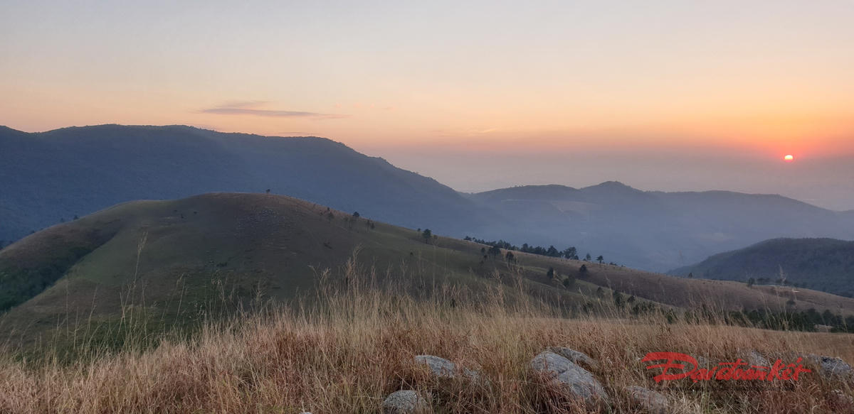 Những vạt đồi cỏ cháy được nhuộm thêm sắc hồng. Ảnh: Nguyễn Quý.