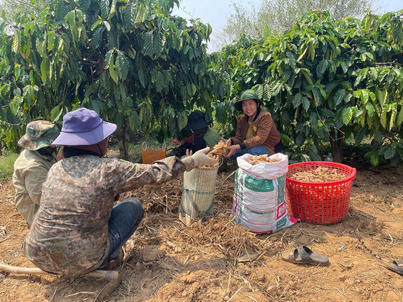 Hoạt động giảm nghèo về thông tin giúp người dân Quảng Ngãi tiếp cận kịp thời chủ trương, chính sách và các kiến thức thiết yếu phục vụ đời sống và phát triển sinh kế. Ảnh minh hoạ: Nhandan.vn