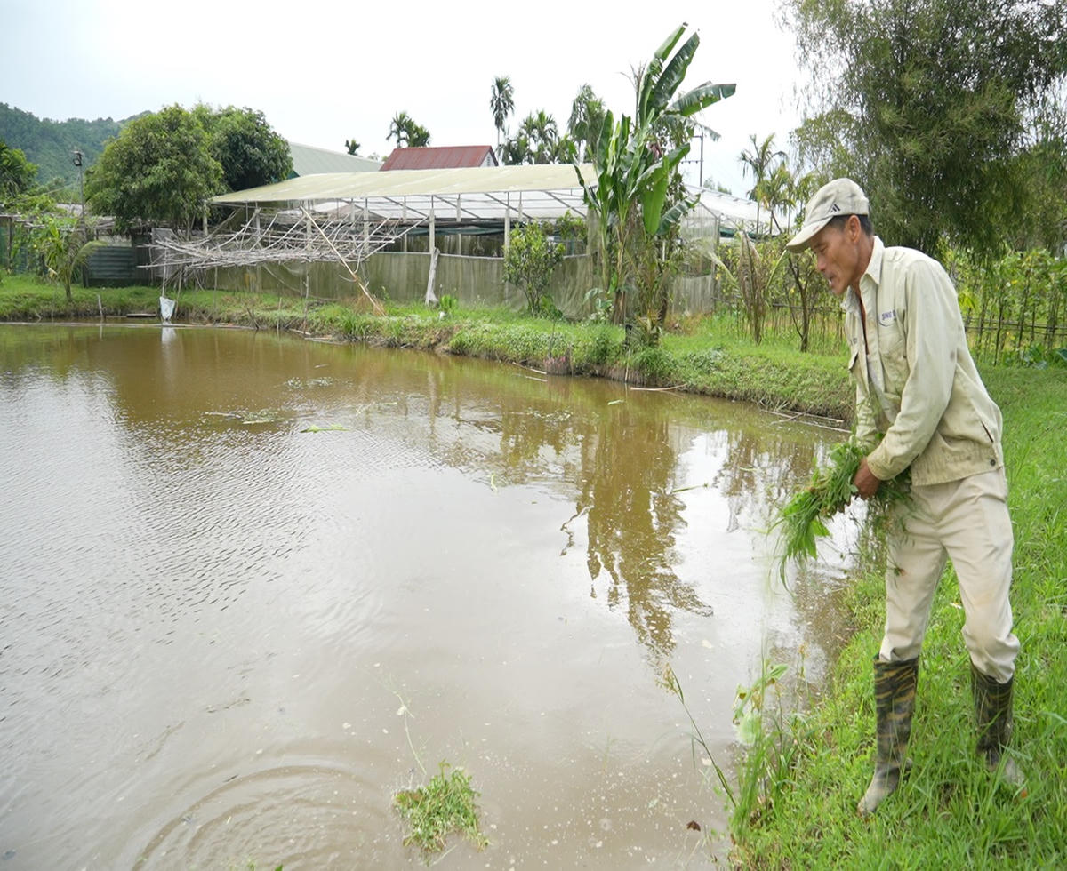 Mô hình kinh tế kết hợp Vườn - Ao - Chuồng đã đem lại thu nhập cao cho người dân ở xã A Lưới 3. Ảnh: M.L.