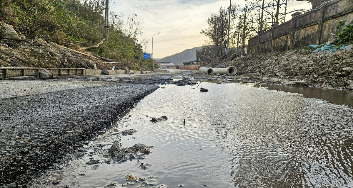 Hai bên đường không có mương thoát nước nhưng có nhiều “ổ voi” chứa nước mưa tù đọng. Ảnh: Cẩm Kỳ&nbsp;