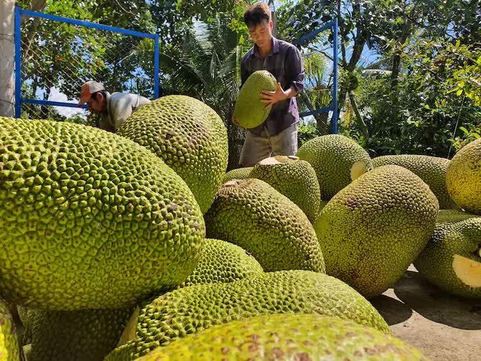 Xuất khẩu nông sản Việt - còn nhiều dư địa