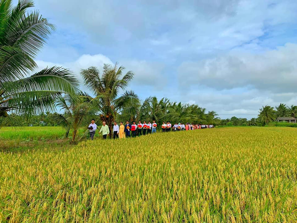 'Hái hoa dân chủ' trong đám cưới