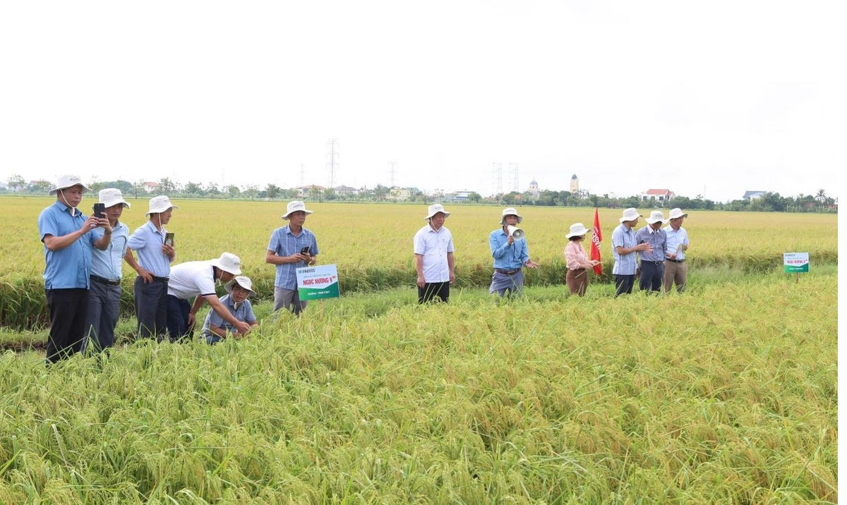 Ninh Bình đẩy mạnh phát triển nông nghiệp sinh thái, nông nghiệp trải nghiệm để góp phần bảo vệ môi trường.