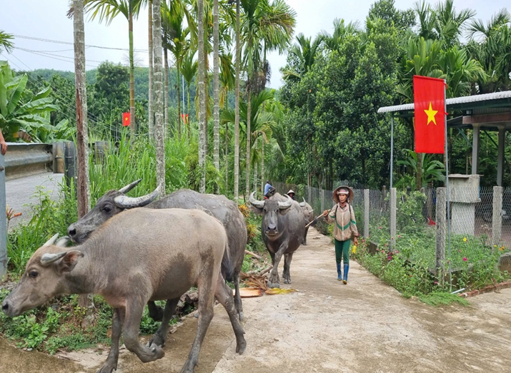 Người dân xã Nghĩa Hành phát triển chăn nuôi tạo thu nhập cho gia đình. Ảnh: nghiahanh.quangngai.gov