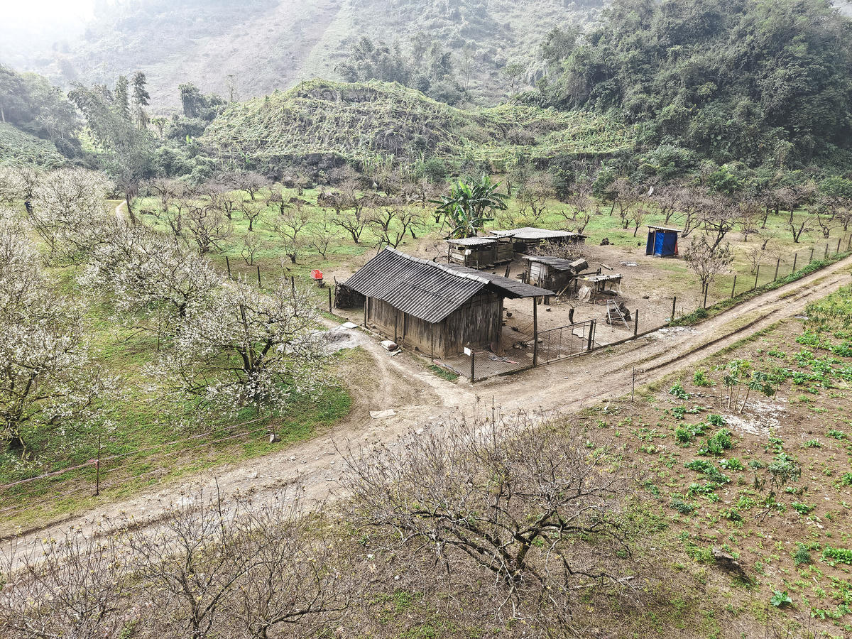 Hoa Mận được nhiều du khách lựa chọn check in kỳ nghỉ cuối tuần.