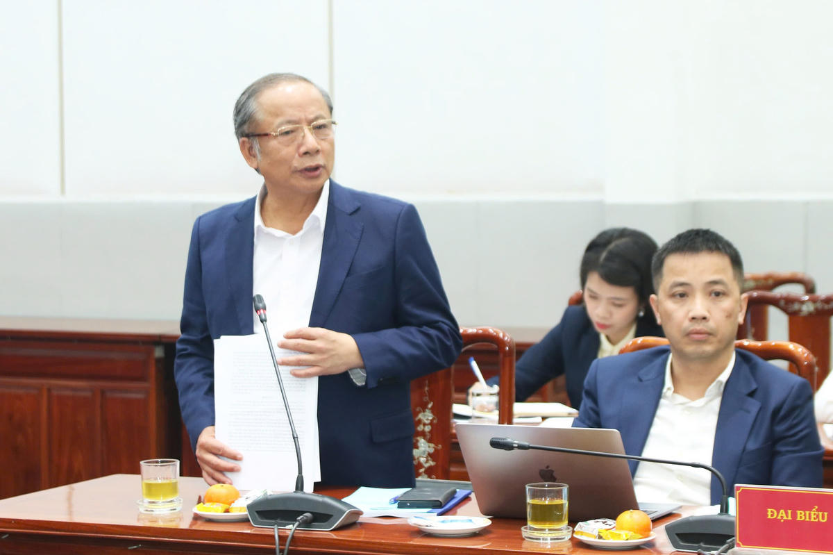 TS Nguyễn Văn Thân, Chủ tịch Hiệp hội Doanh nghiệp nhỏ và vừa Việt Nam phát biểu tại Hội thảo.