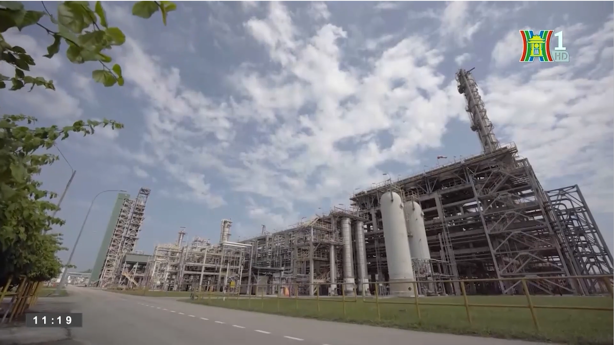 Phóng sự phản ánh chân thực các nỗ lực xanh hóa của các cá nhân, tổ chức