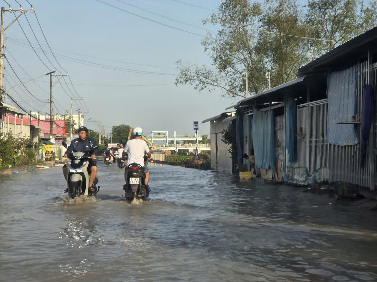 Triều cường đầu tháng 12/2025 gây ngập cục bộ nhiều nơi ở xã Vĩnh Vĩnh Mỹ tỉnh Cà Mau. Ảnh: Nguyên Du