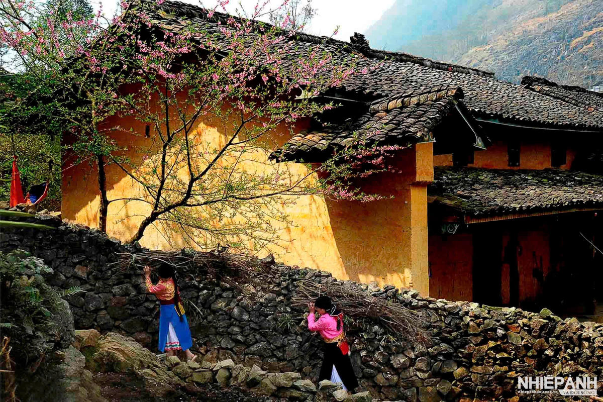 “Mùa Xuân”, ảnh: Chu Phúc