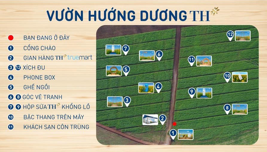 Sơ đồ các điểm check-in tại cánh đồng hướng dương TH