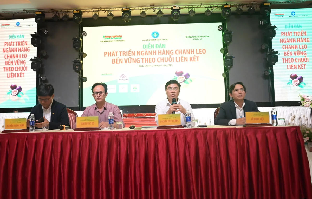 Các đại biểu tham dự Diễn đàn. Ảnh: NN