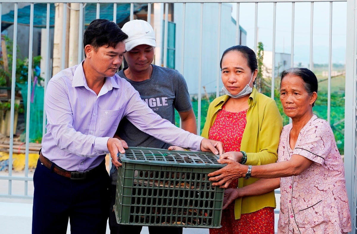 Hỗ trợ sinh kế cho hộ nghèo, cận nghèo, góp phần giảm nghèo bền vững tại thành phố Huế. Ảnh: N.Q.
