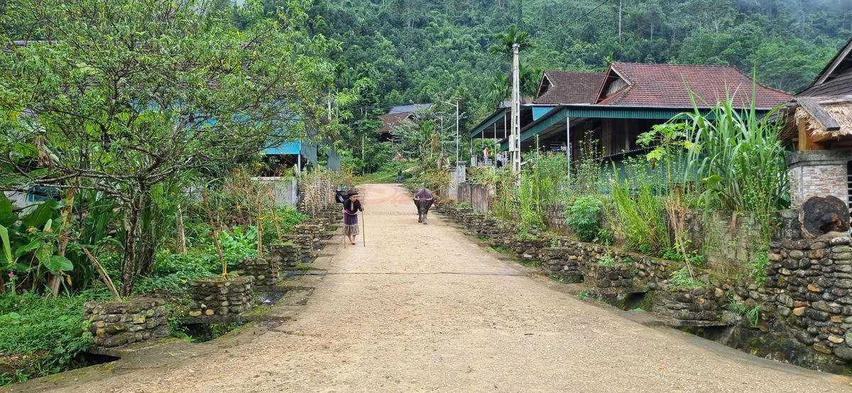 Người dân địa phương đang được định hướng phát triển du lịch cộng đồng, được hỗ trợ cải tạo nhà sàn làm homestay; phụ nữ tham gia các lớp tập huấn nấu ăn, đón tiếp khách; thanh niên học kỹ năng làm hướng dẫn viên bản địa. Ảnh: ĐB