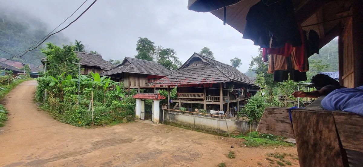 Làng thái cổ Mường Đán hiện có gần 70 căn nhà cổ vẫn giữ nguyên nét truyền thống của người Thái cổ. Ảnh: ĐB